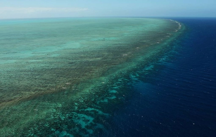Экологи «озвучили» рифы, чтобы спасти их от смерти