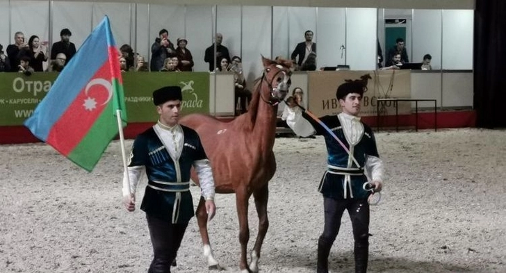 Карабахские скакуны были показаны на Международной конной выставке в Москве - ФОТО
