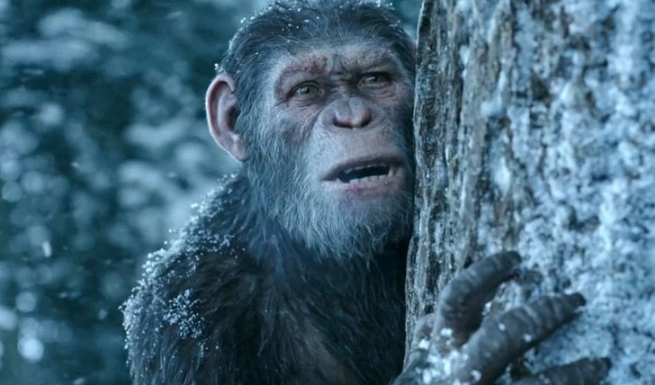 Режиссер «Бегущего в лабиринте» снимет новую «Планету обезьян»