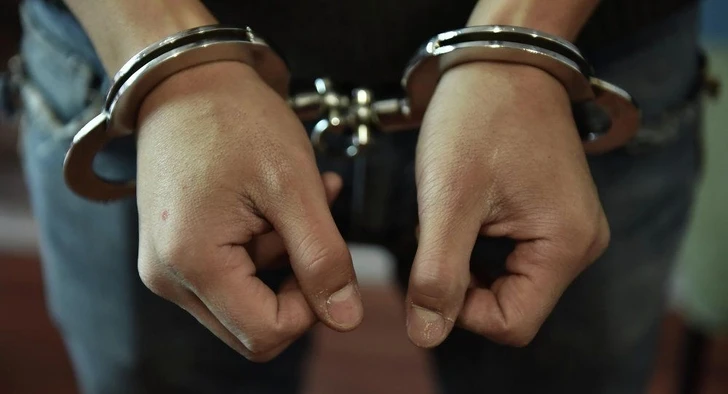Шесть граждан Азербайджана задержаны при попытке незаконного проникновения в Германию