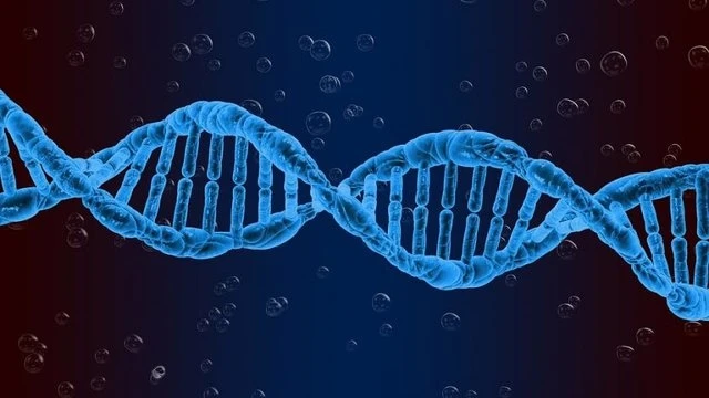 Раскрыта многолетняя тайна ДНК