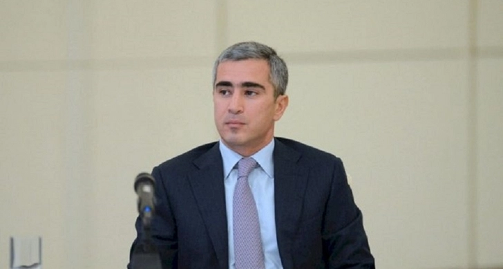 Исполнительный директор Фонда Гейдара Алиева обсудил с известным юристом вопрос лечения правозащитника