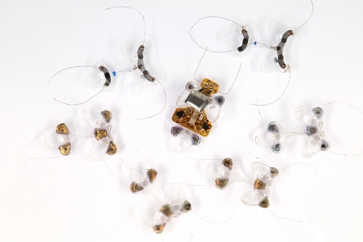 В Швейцарии изобрели похожего на насекомое робота - ФОТО