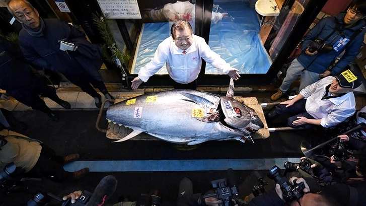 В Японии продали голубого тунца за 1,8 миллионов долларов