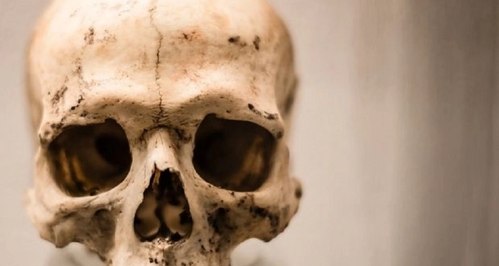 В подвале бакинского дворца обнаружен человеческий череп