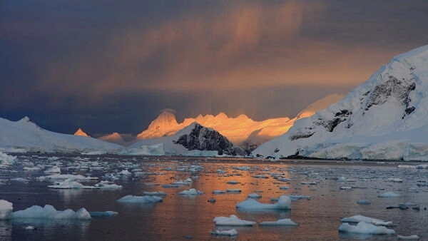 Британец совершил уникальный заплыв в Антарктиде ради спасения климата - ФОТО