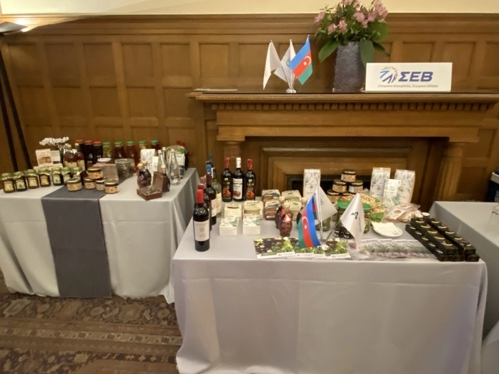 Media.az - Новости Азербайджана - В Афинах прошел бизнес-форум, посвященный Азербайджану - ФОТО