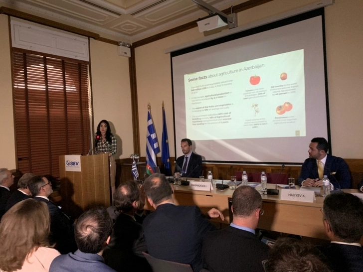 Media.az - Новости Азербайджана - В Афинах прошел бизнес-форум, посвященный Азербайджану - ФОТО