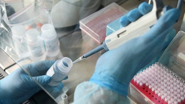 В страну доставлены тесты для диагностики коронавируса