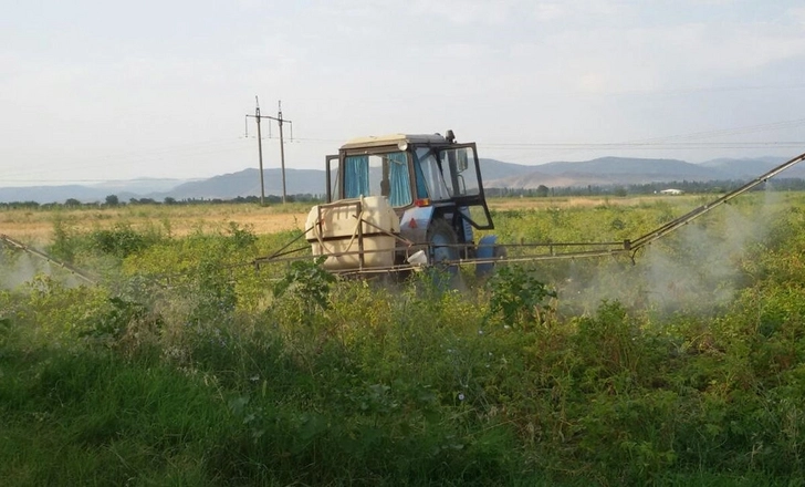 Аграрная экономика в Азербайджане трансформируется