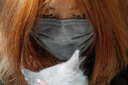 В Китае заживо закопали кошку пострадавшего от коронавируса