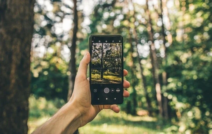 В Азербайджане можно будет наблюдать за ситуацией в лесах посредством смартфонов