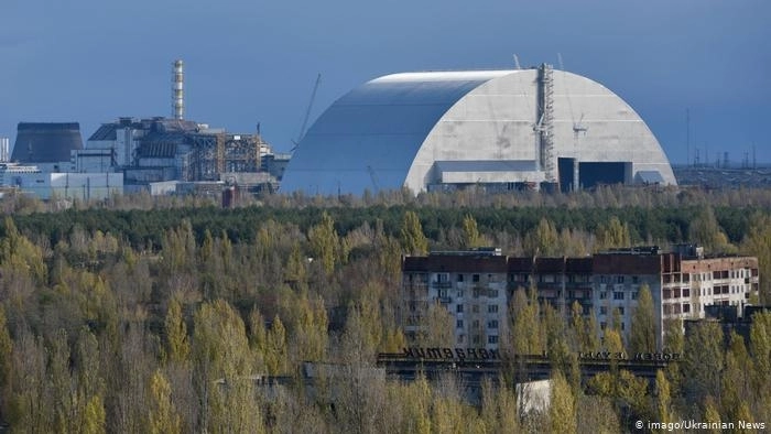 В Чернобыльской АЭС выросли грибы-мутанты, которые могут спасти человечество от радиации - ВИДЕО