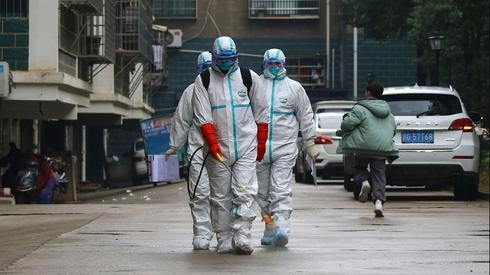 Эксперты ВОЗ прибыли в Китай для расследования появления коронавируса