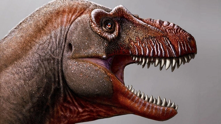 Ученые обнаружили новый вид динозавра — «жнец смерти»