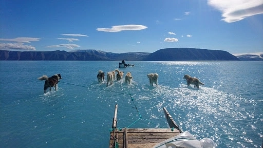 Гренландия решила продать воду с тающих из-за глобального потепления ледников