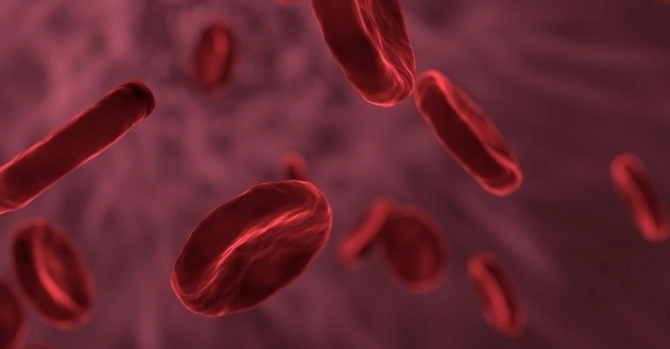 Названа наиболее устойчивая к онкологии группа крови