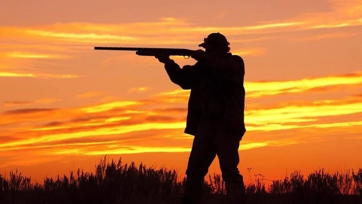 Минэкологии: Охотничий билет не является разрешением на охоту