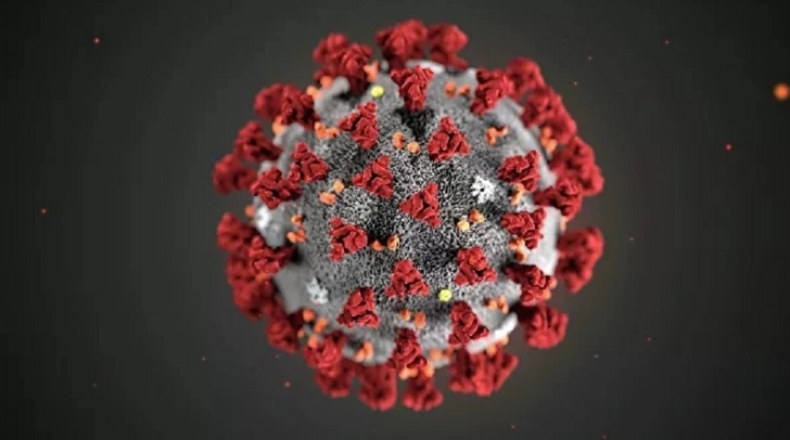 ВОЗ заявила о «потенциальной пандемии» нового коронавируса