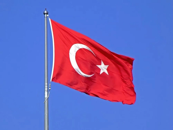 Турция может перекрыть проливы для военных кораблей