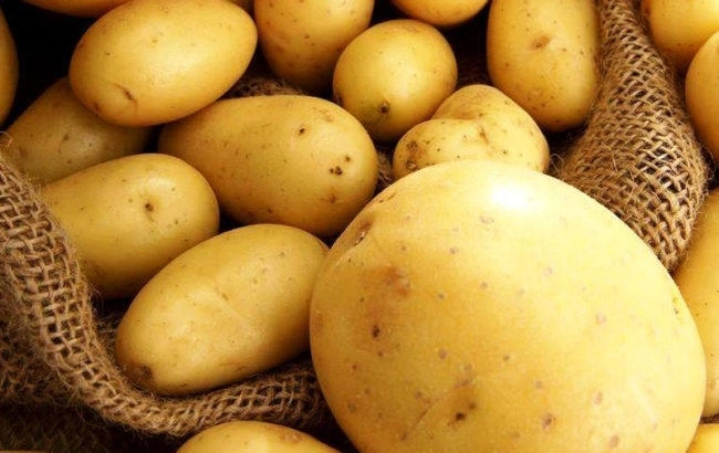 В Азербайджане выращиваются четыре новых сорта картофеля