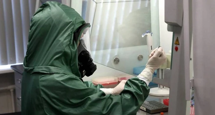 Российскую вакцину от нового коронавируса испытают на хорьках и приматах