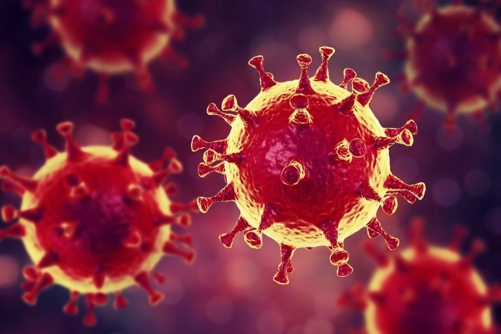 Появилась «вероятная» гипотеза происхождения коронавируса
