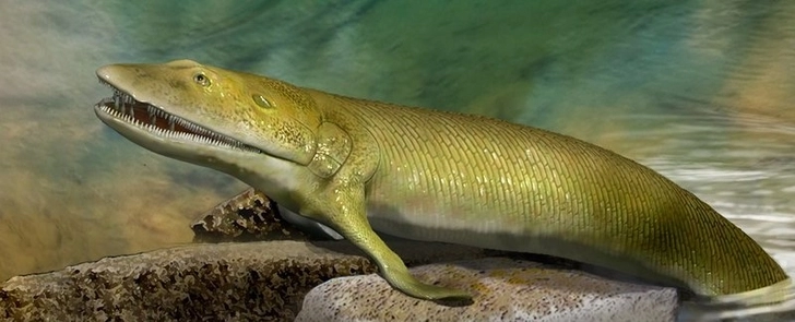 В Канаде найдены останки рыбы с пальцами на плавниках