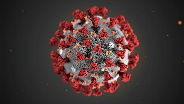 Ученые рассказали, возможно ли заразиться коронавирусом через воду