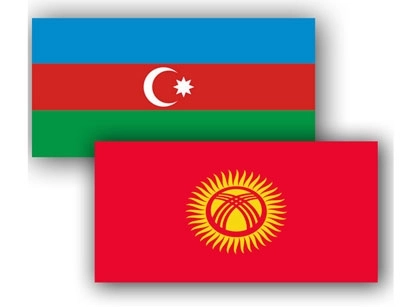 Главы МИД Азербайджана и Кыргызстана обсудили борьбу с коронавирусом
