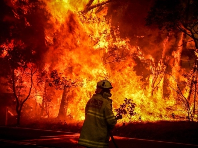 Ученые из США предсказывают новые масштабные пожары по всему миру