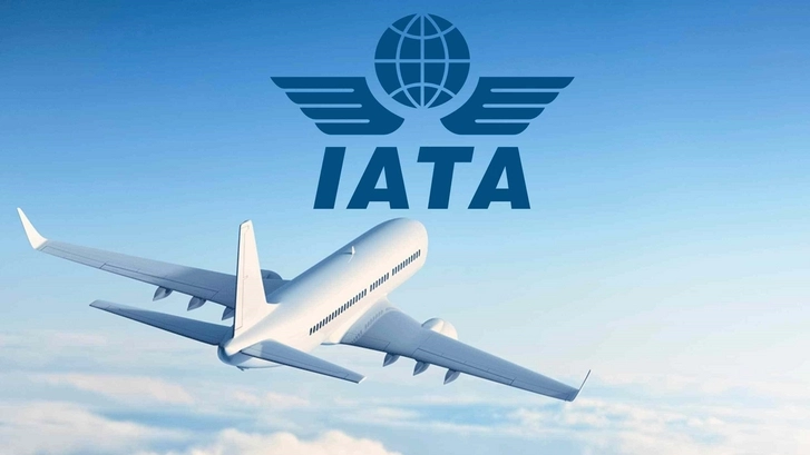 IATA призвала все страны разрешить выдавать пассажирам вместо денег депозитные ваучеры