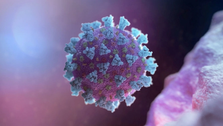 Впервые расшифрован полный геном коронавируса