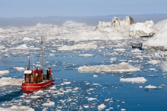 Крупнейшая климатическая экспедиция в Арктику прервется из-за пандемии