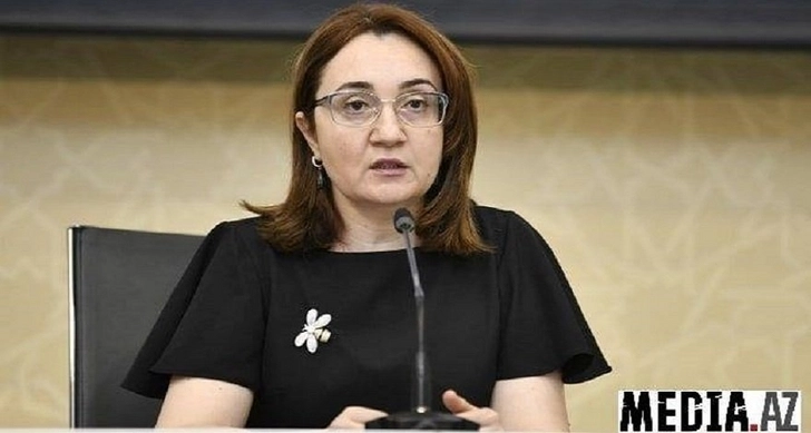 Азербайджан продолжит помещать на карантин прибывающих лиц