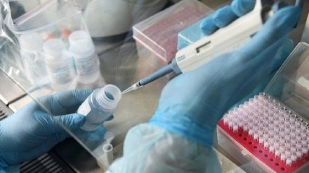 Министр: В Азербайджане создана уникальная система для проведения тестов на коронавирус