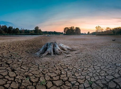 В Чехии зафиксировали сильнейшую за 500 лет засуху