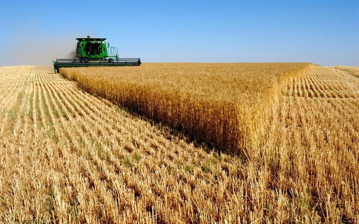 В Азербайджане изменены правила по сельскохозяйственным землям