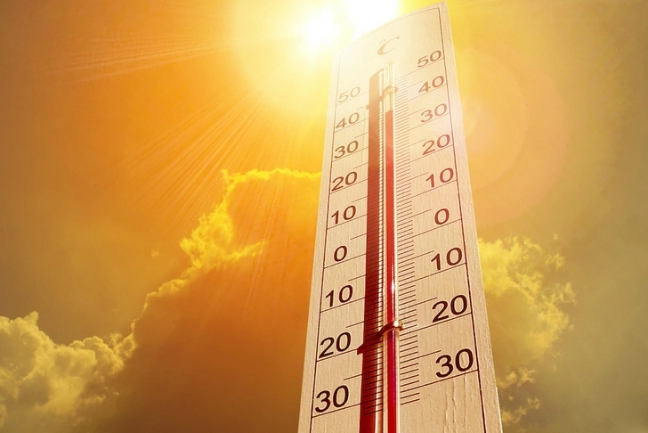 Экологи предрекли наступление экстремальной жары к 2050 году