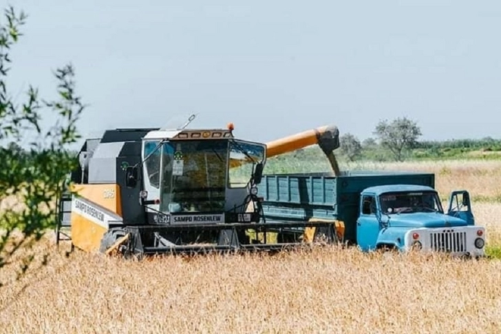 В Азербайджане уборка зерновых выполнена на 5,7 процента