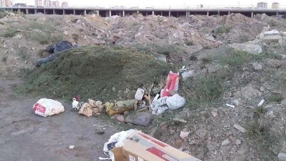 ИВ Сумгайыта обещает очистить городской бульвар от мусора - ВИДЕО
