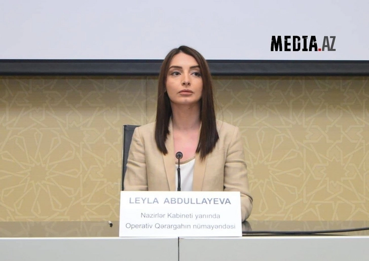 Лейла Абдуллаева: Вводится двухнедельный строгий карантин