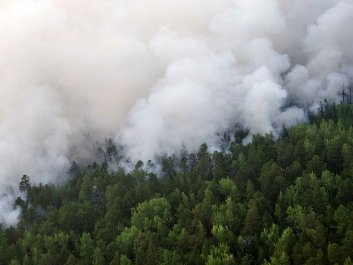 На востоке Канады горят леса, огонь угрожает гидроэлектростанции