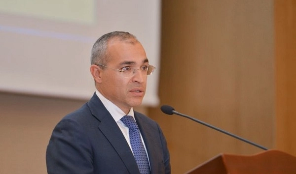 Микаил Джаббаров: В Азербайджане увеличилось количество трудовых договоров