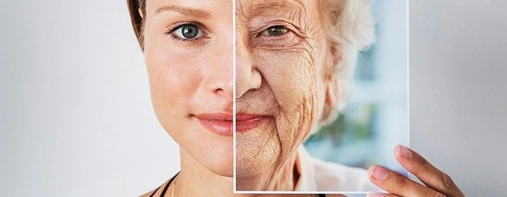Стало известно, какой продукт помогает замедлить старение