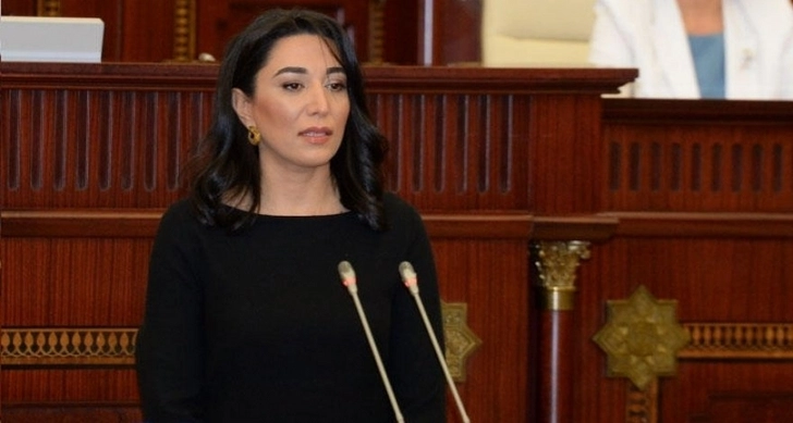 Омбудсмен: Против Армении должны быть введены серьезные санкции