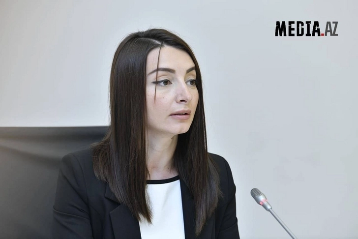 МИД: Международное сообщество решительно осудило военную провокацию Армении