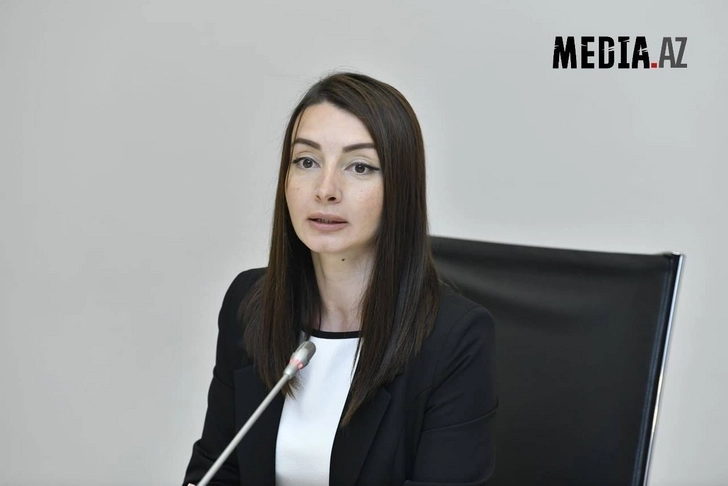 Лейла Абдуллаева: Сербскому дипломату сообщили, что целью на Товузском направлении были гражданские объекты