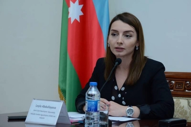 Лейла Абдуллаева: Действия армян следует оценивать как акт вандализма и терроризма