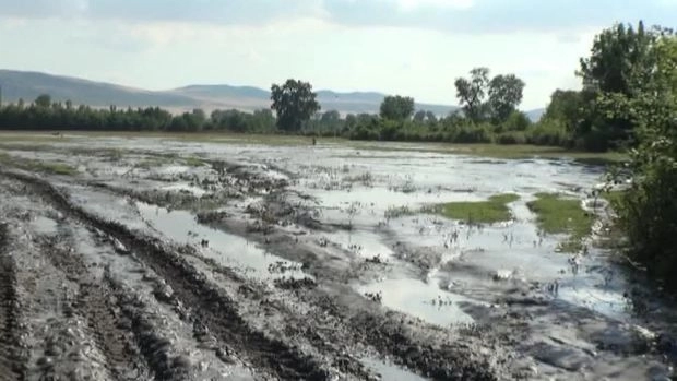 В Огузе устраняют последствия проливных дождей - ВИДЕО